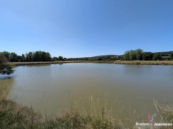 Maison en pierre avec étang sur 9 hectares à 5 min d'Évron