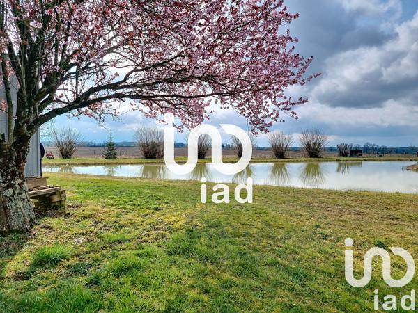 Terrain à vendre 10 000 m² Sillars