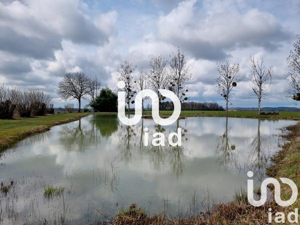 Terrain à vendre 10 000 m² Sillars