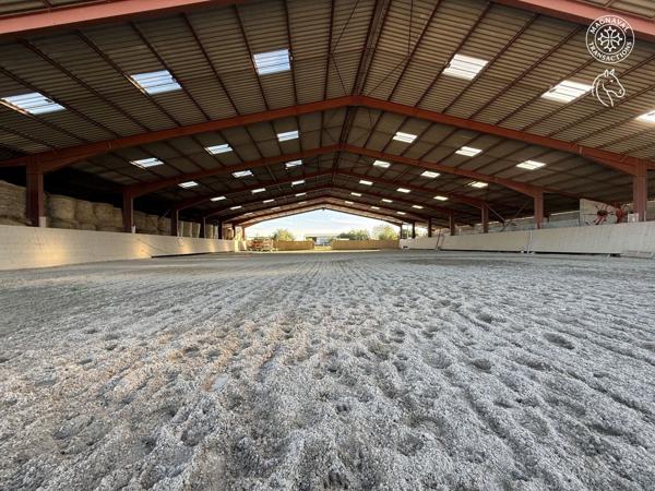 Gaillac (81600) Centre équestre aux portes de Gaillac (Tarn)