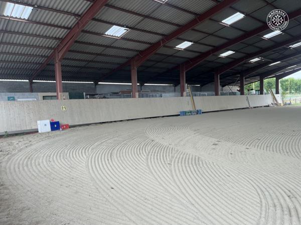 Gaillac (81600) Centre équestre aux portes de Gaillac (Tarn)