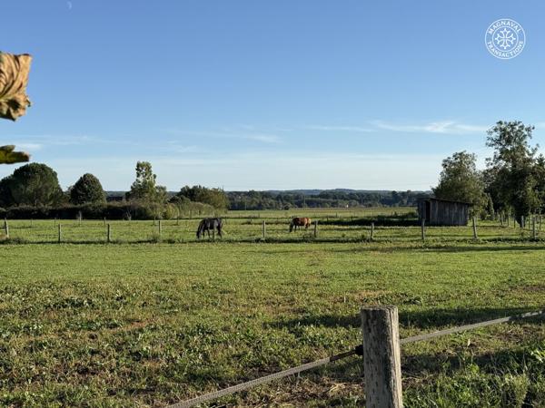 Gaillac (81600) Centre équestre aux portes de Gaillac (Tarn)