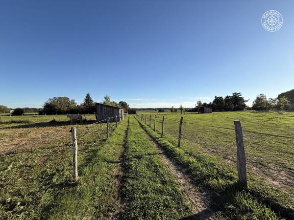 Gaillac (81600) Centre équestre aux portes de Gaillac (Tarn)