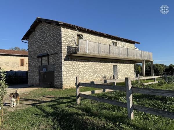 Gaillac (81600) Centre équestre aux portes de Gaillac (Tarn)