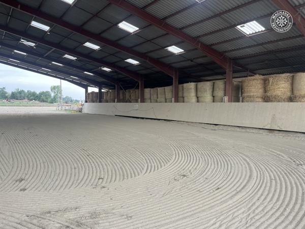 Gaillac (81600) Centre équestre aux portes de Gaillac (Tarn)