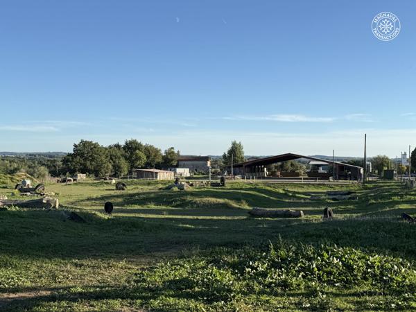Gaillac (81600) Centre équestre aux portes de Gaillac (Tarn)
