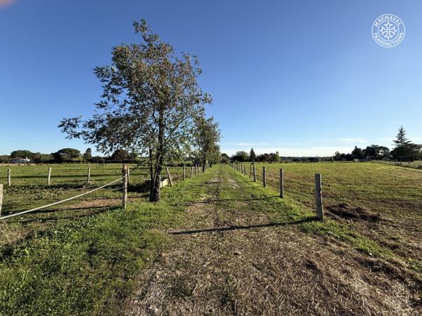 Gaillac (81600) Centre équestre aux portes de Gaillac (Tarn)