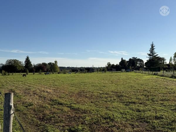 Gaillac (81600) Centre équestre aux portes de Gaillac (Tarn)
