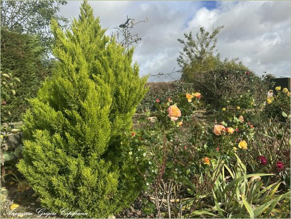 COURVILLE SUR EURE (28190) - Maison à vendre 160 m² - 5 chambres, garage, jardin, terrain 996 m²