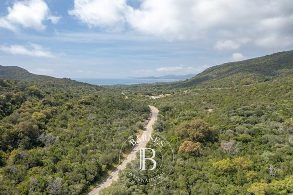 Porto-Vecchio, Terrain constructible  2 092 m² à vendre