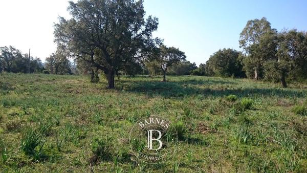 Porto-Vecchio, Terrain constructible  2 092 m² à vendre