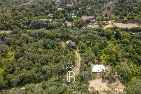 Porto-Vecchio, Terrain constructible  2 092 m² à vendre