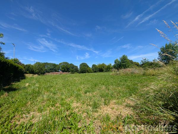 Vente
                Terrain1120 m² - MOYRAZES (12160)