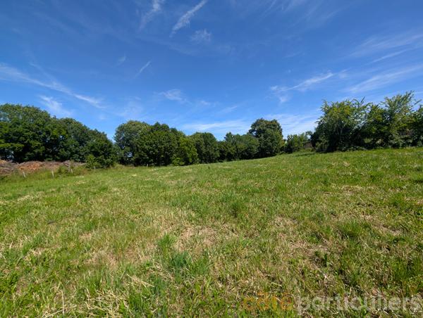 Vente
                Terrain1120 m² - MOYRAZES (12160)