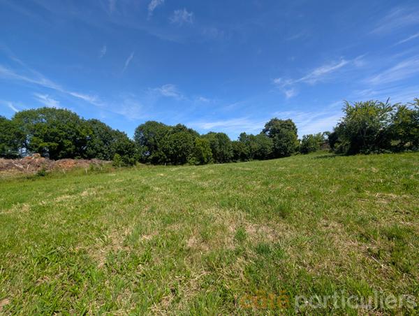 Vente
                Terrain1120 m² - MOYRAZES (12160)