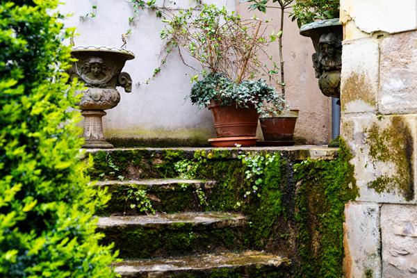 RARE - BIEN ATYPIQUE DE CARACTERE