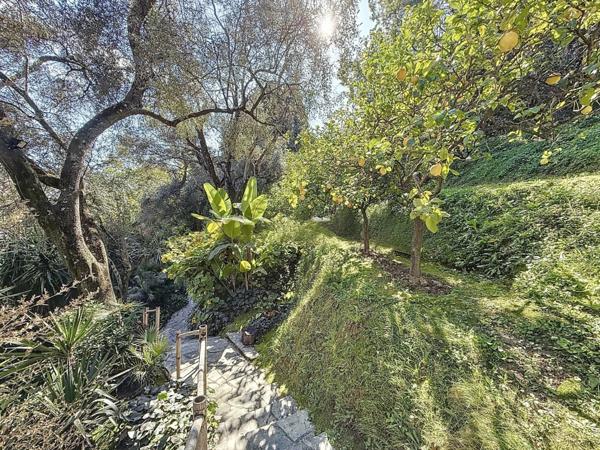 Propriete à vendre 14 pièces MENTON (06)