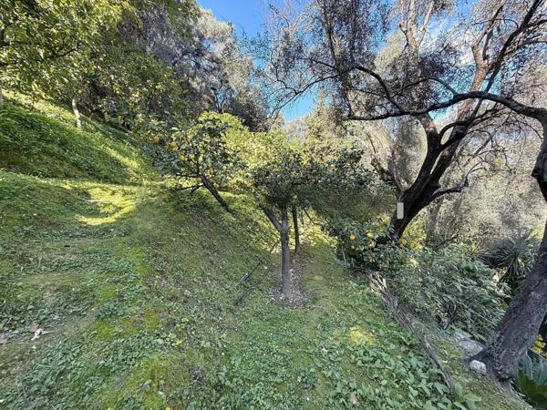 Propriete à vendre 14 pièces MENTON (06)