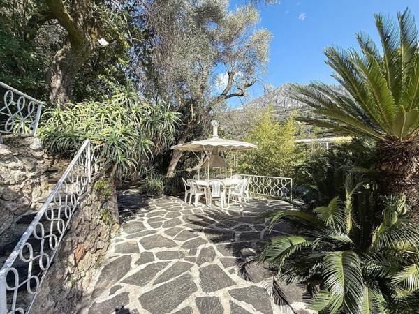 Propriete à vendre 14 pièces MENTON (06)