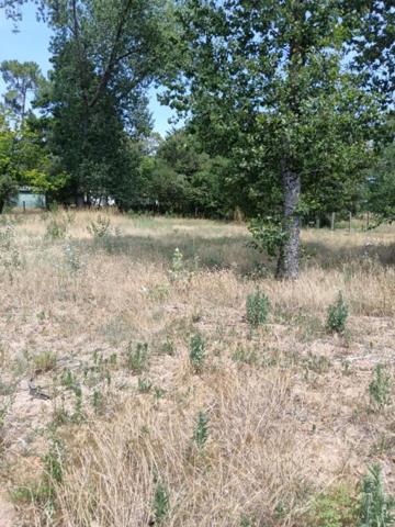 Terrain à bâtir de 641 m2 - Orouët - Saint-Jean de Monts - 108120  TTC