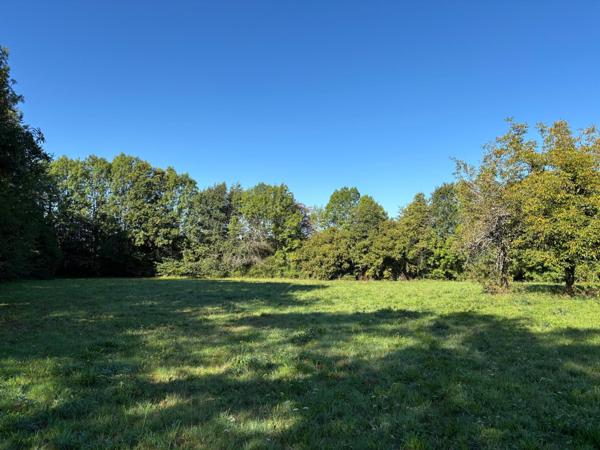 Terrain à SAINT-GERMAIN-LES-VERGNES, 19330 - 7992m²