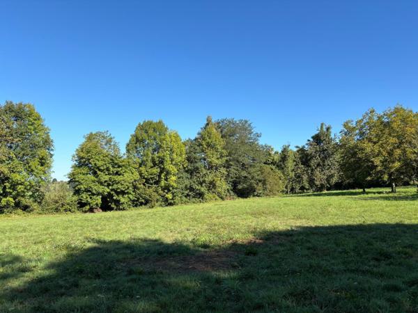 Terrain à SAINT-GERMAIN-LES-VERGNES, 19330 - 7992m²