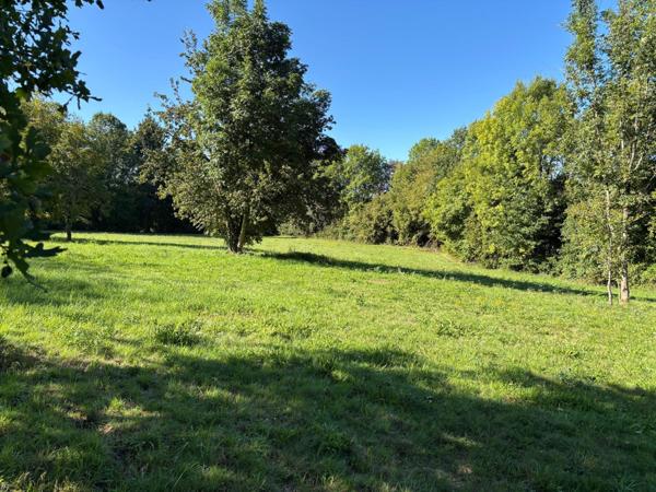 Terrain à SAINT-GERMAIN-LES-VERGNES, 19330 - 7992m²