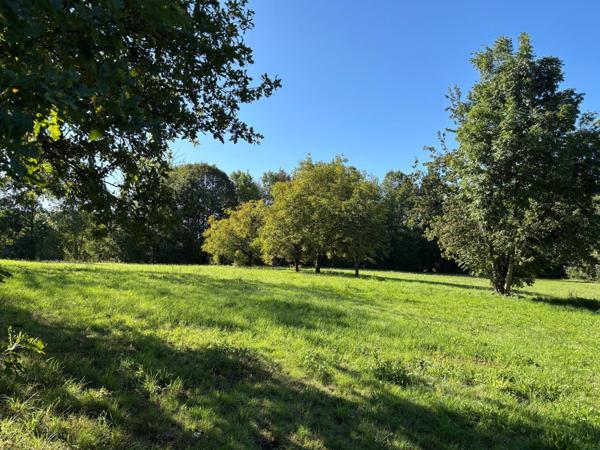 Terrain à SAINT-GERMAIN-LES-VERGNES, 19330 - 7992m²