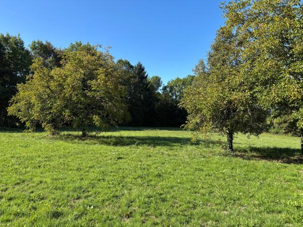 Terrain à SAINT-GERMAIN-LES-VERGNES, 19330 - 7992m²