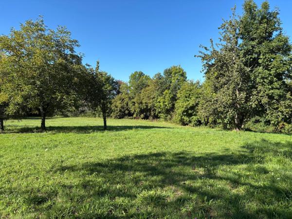 Terrain à SAINT-GERMAIN-LES-VERGNES, 19330 - 7992m²