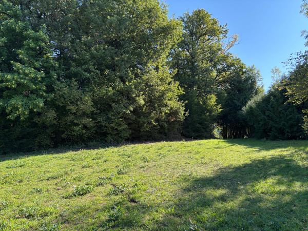 Terrain à SAINT-GERMAIN-LES-VERGNES, 19330 - 7992m²