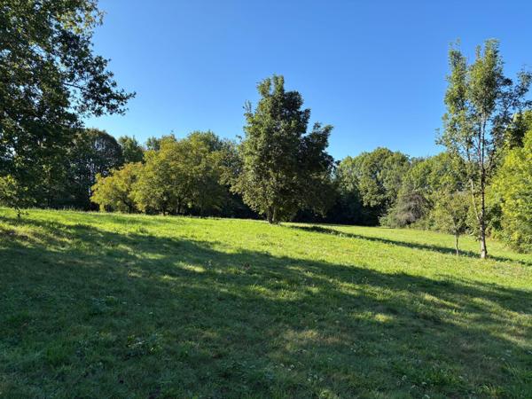 Terrain à SAINT-GERMAIN-LES-VERGNES, 19330 - 7992m²