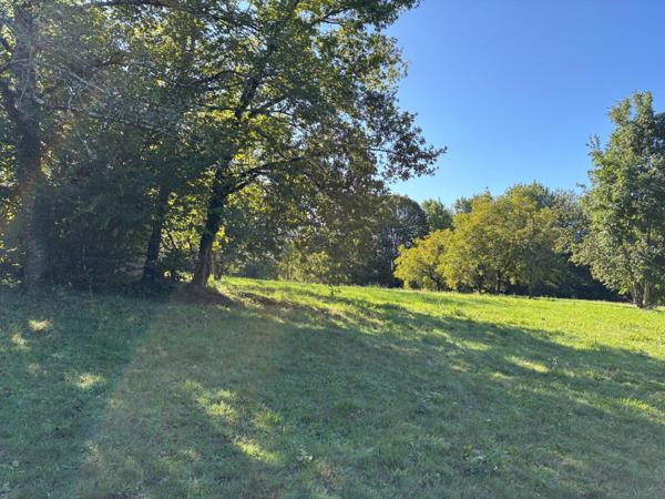 Terrain à SAINT-GERMAIN-LES-VERGNES, 19330 - 7992m²