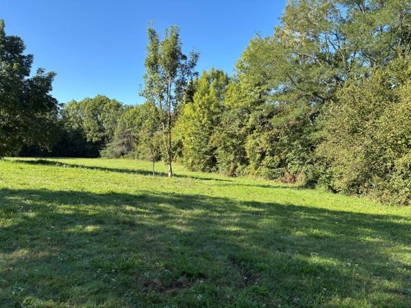 Terrain à SAINT-GERMAIN-LES-VERGNES, 19330 - 7992m²