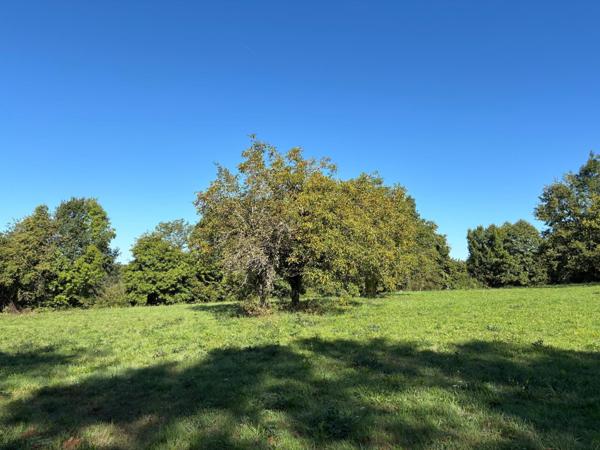 Terrain à SAINT-GERMAIN-LES-VERGNES, 19330 - 7992m²