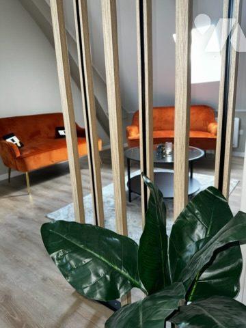 Immeuble de rapport mixte actuellement loué