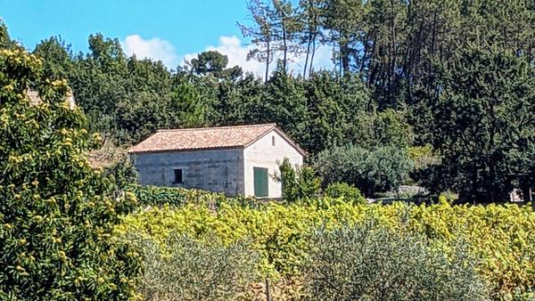 Bâtiment et terrain