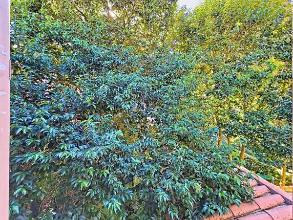 Appartement T2 traversant, lumineux et au calme – 33 m² Carrez – Bédarieux centre