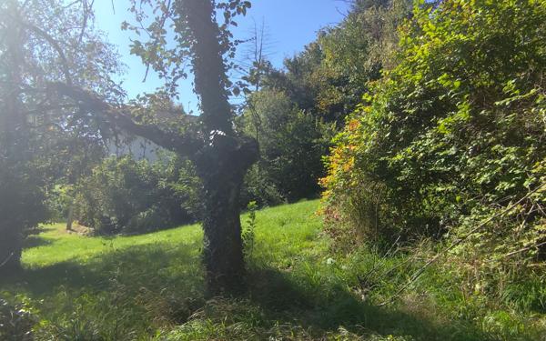 Maison à vendre    4 pièces •  Miribel