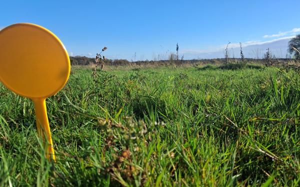 Terrain à vendre    Teillay