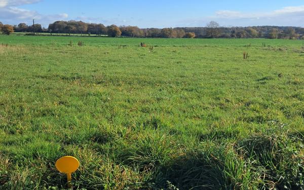 Terrain à vendre    Teillay