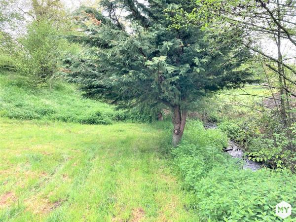Maison • Vente • 200m2 • BASVILLE 170 000 € FAI