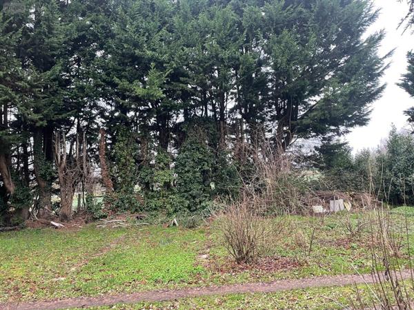 Maison à vendre à Miniac-Morvan en Ille-et-Vilaine (35540), ref : 238