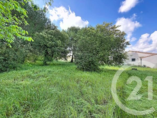 Terrain à vendre  2770 m 2   BAGNOLS SUR CEZE  - 30