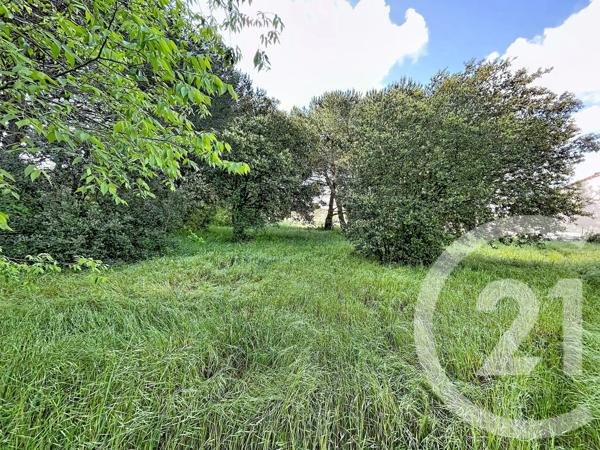 Terrain à vendre  2770 m 2   BAGNOLS SUR CEZE  - 30