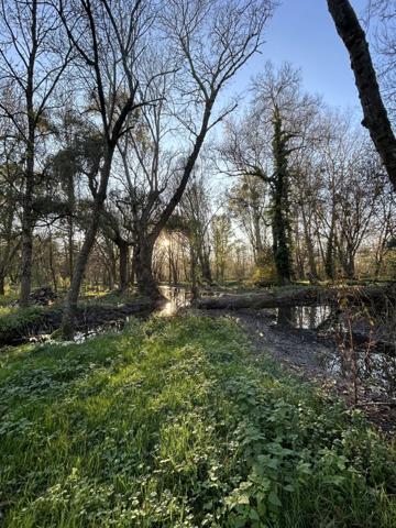 Vente Maison 6 pièces 125 m2 à Saint-Jean-d'Angély