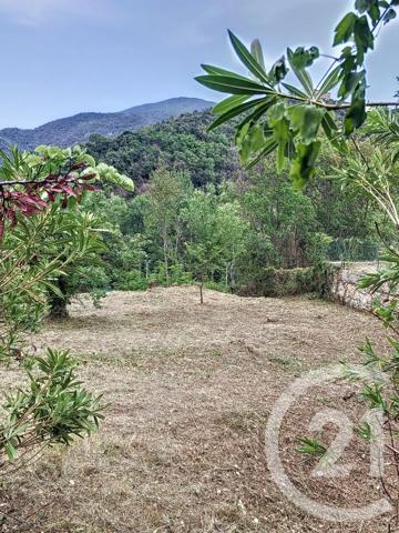 Terrain à vendre  500 m 2   AMELIE LES BAINS PALALDA  - 66