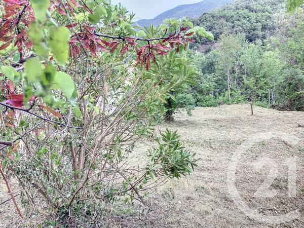 Terrain à vendre  500 m 2   AMELIE LES BAINS PALALDA  - 66