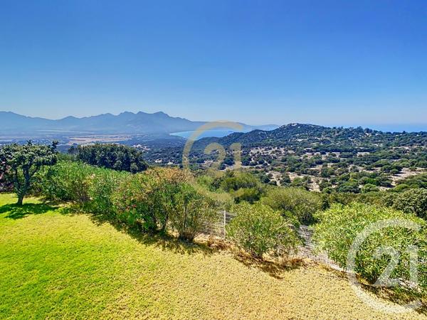 Maison à vendre  5 pièces - 185 m2 LUMIO - 202