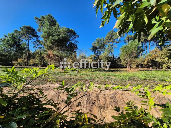 Maison 4 pièces - 92 m²